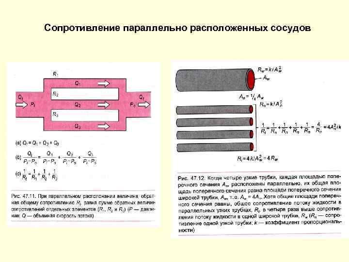 Связал сопротивление. Сосуды сопротивления. Сопротивляемость сосудов. Сопротивление расположено параллельно. Резисторы расположены параллельно.