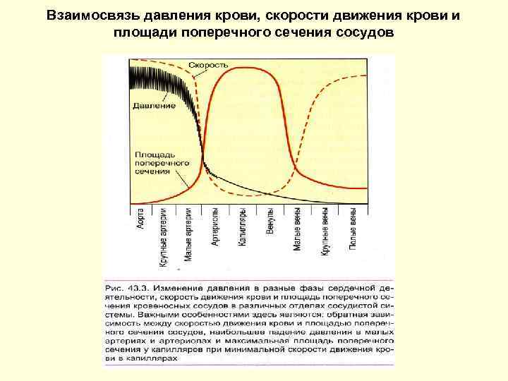 Скорость давления. Графики изменений показателей гемодинамики (давления крови,. Графики изменений показателей гемодинамики. Диаграмма показателей гемодинамики. График скорости движения крови.