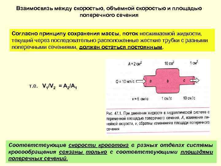 Согласно какому принципу. Линейная и объемная скорость жидкости. Взаимосвязь между линейной скоростью и площадью поперечного сечения. Зависимость скорости от площади поперечного сечения. Площадь поперечного сечения потока жидкости.