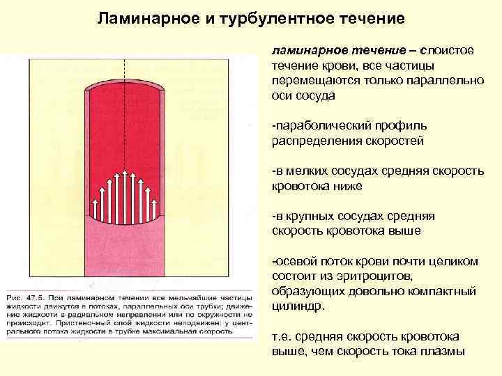 Монтажные метки риски фиксирующие в плане главные оси сосуда