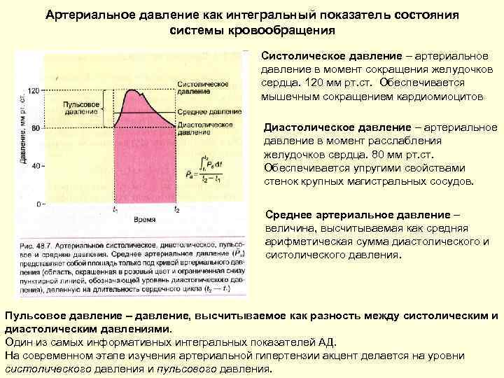 Артериальное давление как интегральный показатель состояния системы кровообращения Систолическое давление – артериальное давление в