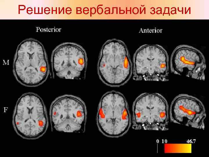 Решение вербальной задачи 
