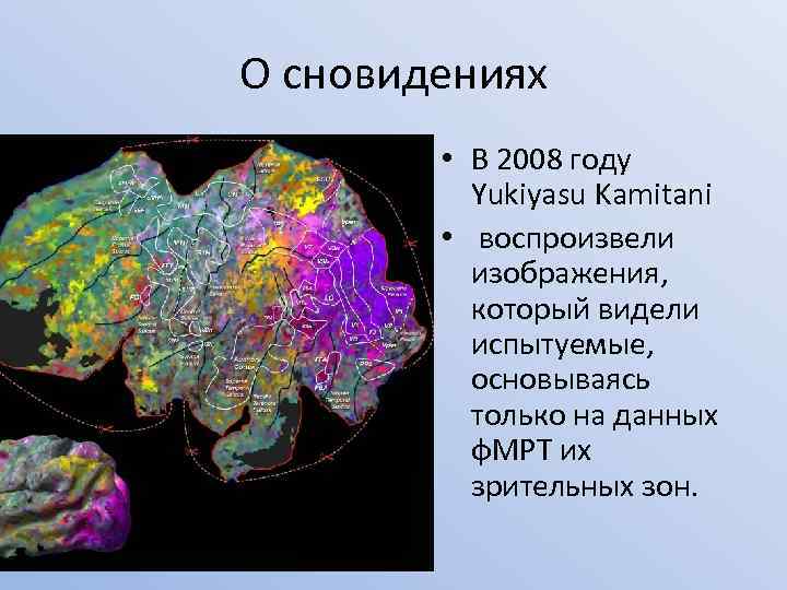 О сновидениях • В 2008 году Yukiyasu Kamitani • воспроизвели изображения, который видели испытуемые,
