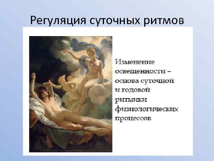 Регуляция суточных ритмов 