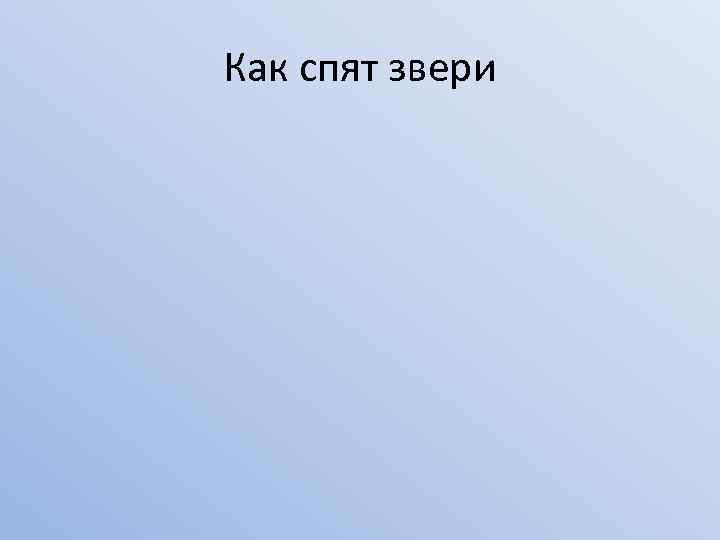Как спят звери 