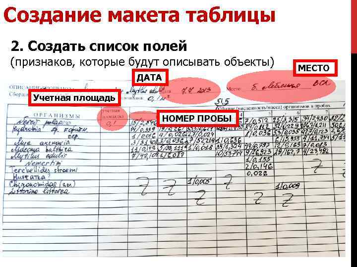 Создание макета таблицы 2. Создать список полей (признаков, которые будут описывать объекты) ДАТА Учетная