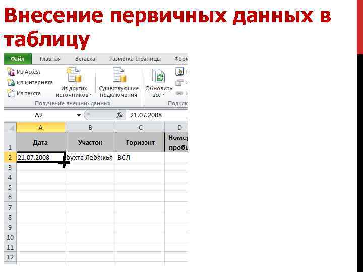 Внесение первичных данных в таблицу 