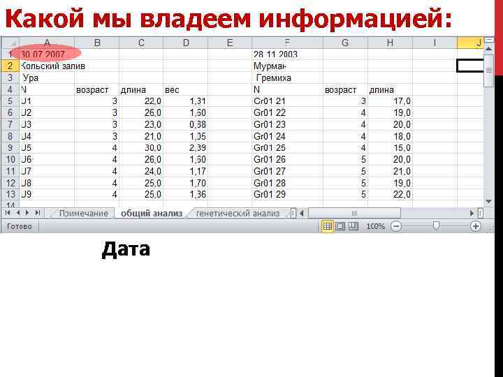 Какой мы владеем информацией: Дата 