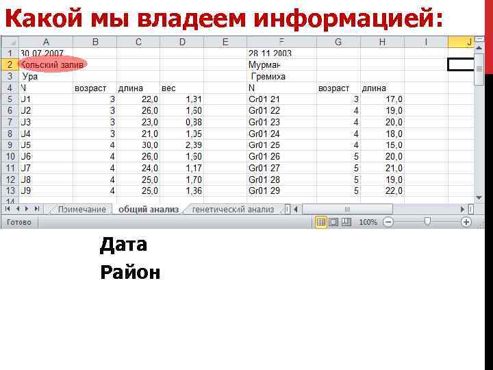 Какой мы владеем информацией: Дата Район 