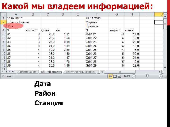 Какой мы владеем информацией: Дата Район Станция 