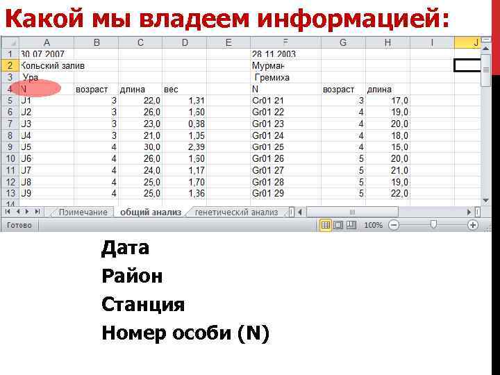 Какой мы владеем информацией: Дата Район Станция Номер особи (N) 