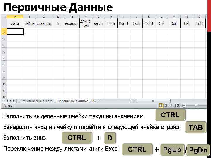 Первичные Данные Заполнить выделенные ячейки текущим значением CTRL Завершить ввод в ячейку и перейти