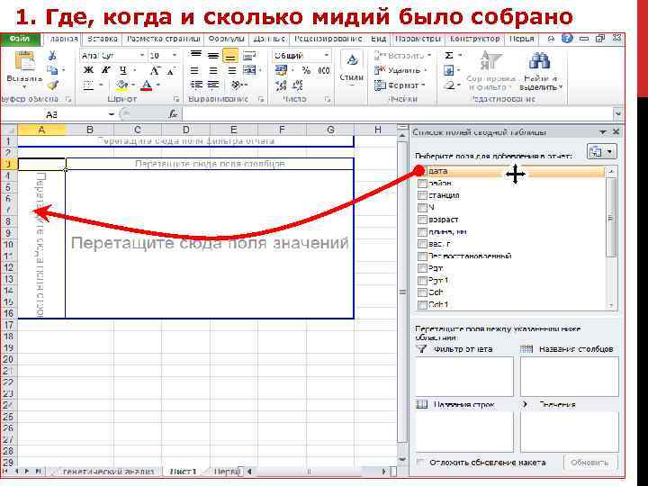 1. Где, когда и сколько мидий было собрано 