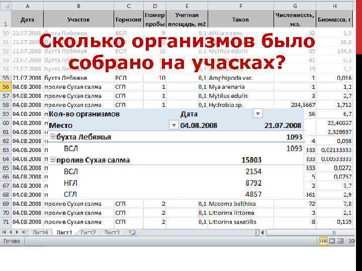 Сколько организмов было собрано на учасках? 