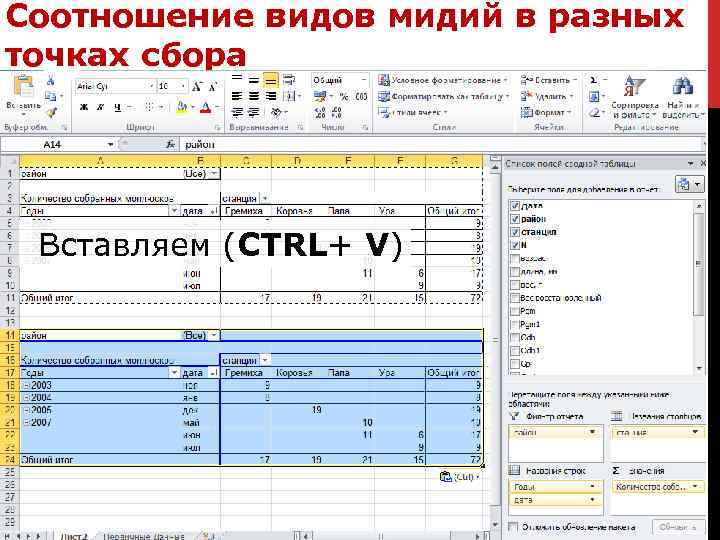 Таблица для проекта