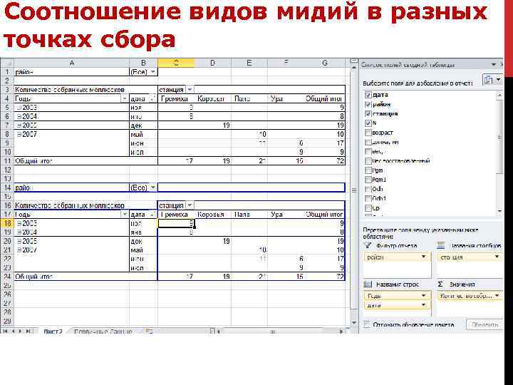 Соотношение видов мидий в разных точках сбора 