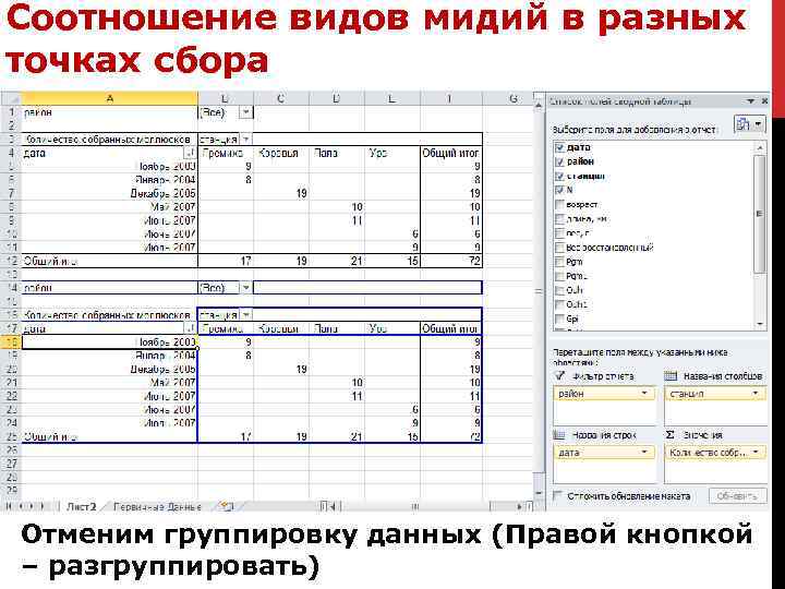 Соотношение видов мидий в разных точках сбора Отменим группировку данных (Правой кнопкой – разгруппировать)