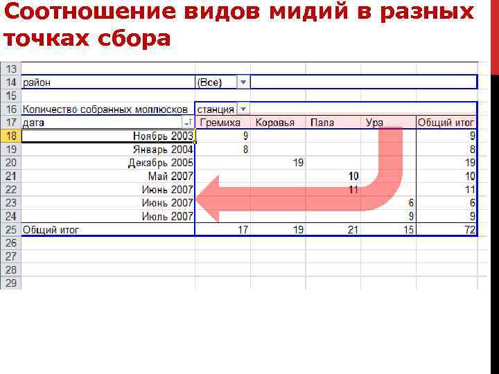 Соотношение видов мидий в разных точках сбора 