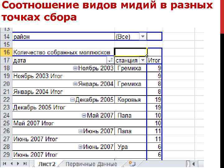 Соотношение видов мидий в разных точках сбора 