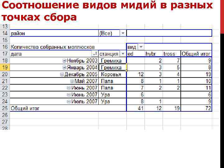 Соотношение видов мидий в разных точках сбора 