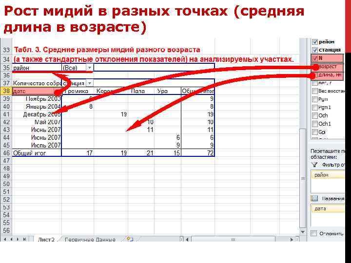 Рост мидий в разных точках (средняя длина в возрасте) 