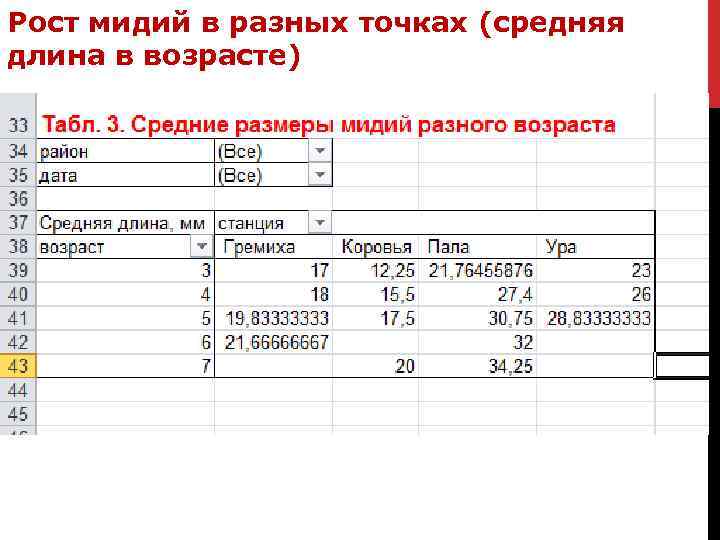 Рост мидий в разных точках (средняя длина в возрасте) 