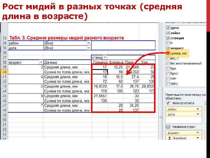 Рост мидий в разных точках (средняя длина в возрасте) 