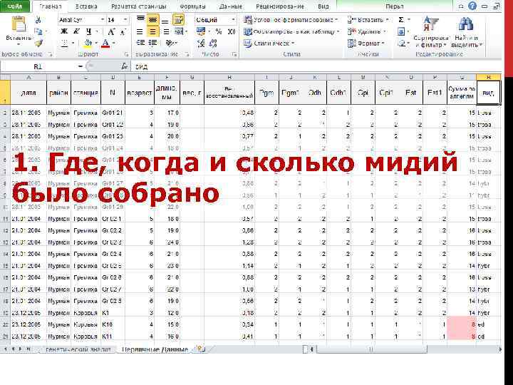 1. Где, когда и сколько мидий было собрано 