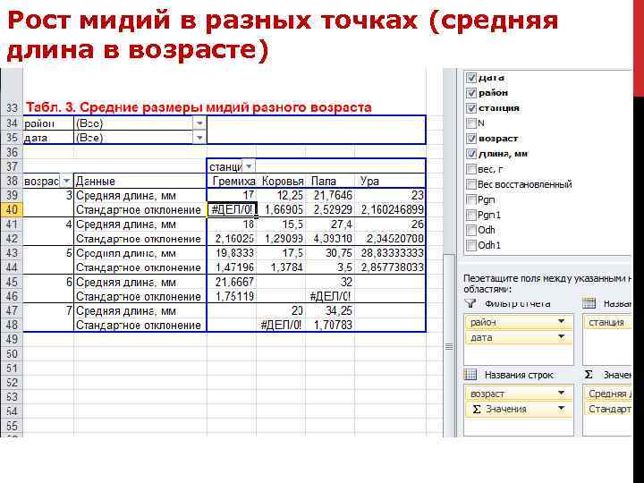 Рост мидий в разных точках (средняя длина в возрасте) 