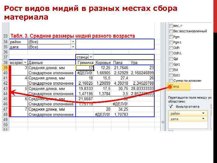 Рост видов мидий в разных местах сбора материала 