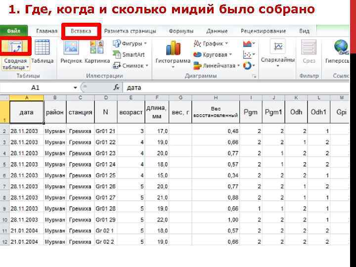 Режимы работы с запросом режим таблицы сводная таблица сводная диаграмма режим sql конструктор