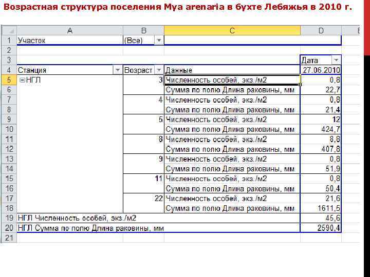 Возрастная структура поселения Mya arenaria в бухте Лебяжья в 2010 г. 