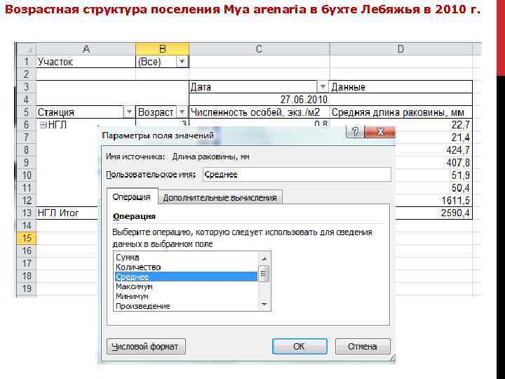 Возрастная структура поселения Mya arenaria в бухте Лебяжья в 2010 г. 