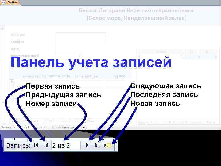 Панель учета записей Первая запись Предыдущая запись Номер записи Следующая запись Последняя запись Новая