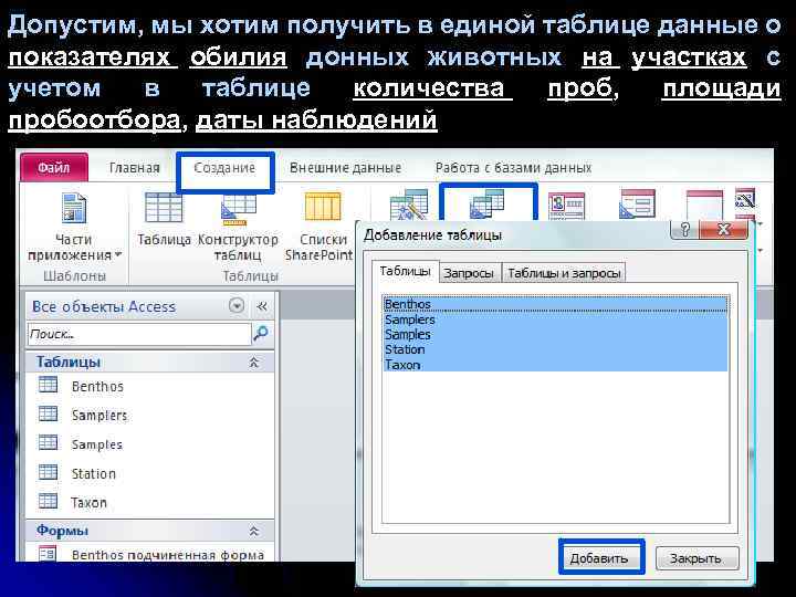 Допустим, мы хотим получить в единой таблице данные о показателях обилия донных животных на