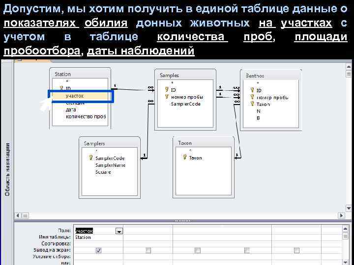 Допустим, мы хотим получить в единой таблице данные о показателях обилия донных животных на