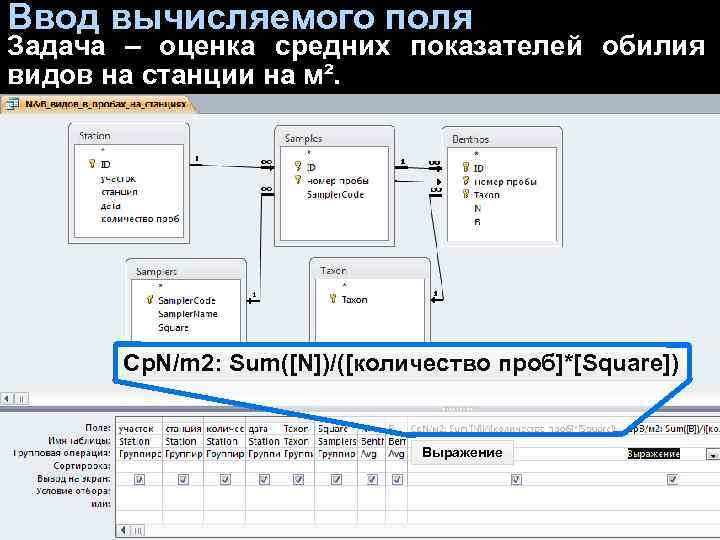 Ввод вычисляемого поля Задача – оценка средних показателей обилия видов на станции на м².