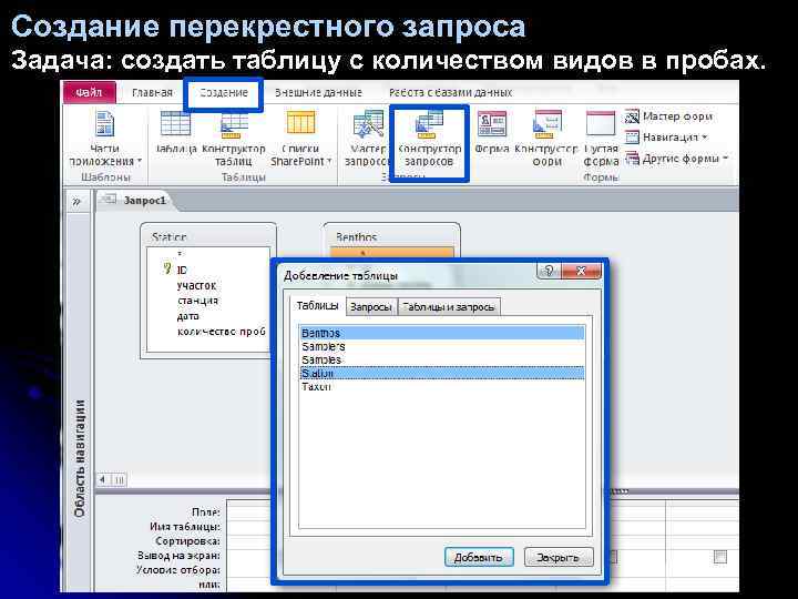 Создание перекрестного запроса Задача: создать таблицу с количеством видов в пробах. 
