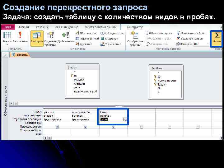 Создание перекрестного запроса Задача: создать таблицу с количеством видов в пробах. 