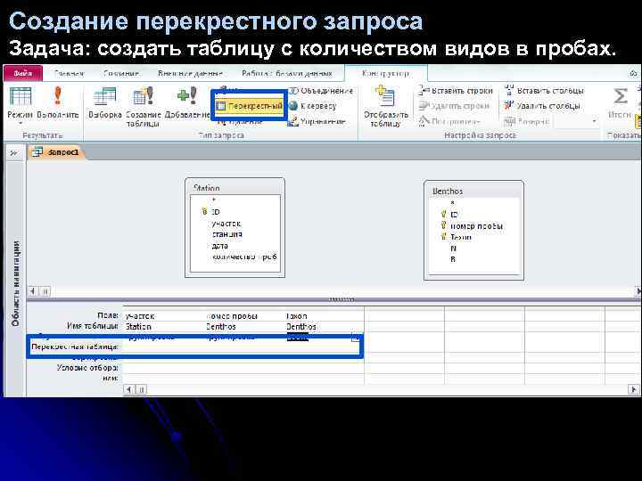 Создание перекрестного запроса Задача: создать таблицу с количеством видов в пробах. 