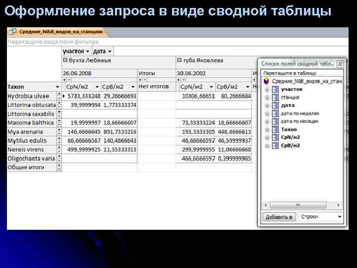 Оформление запроса в виде сводной таблицы 