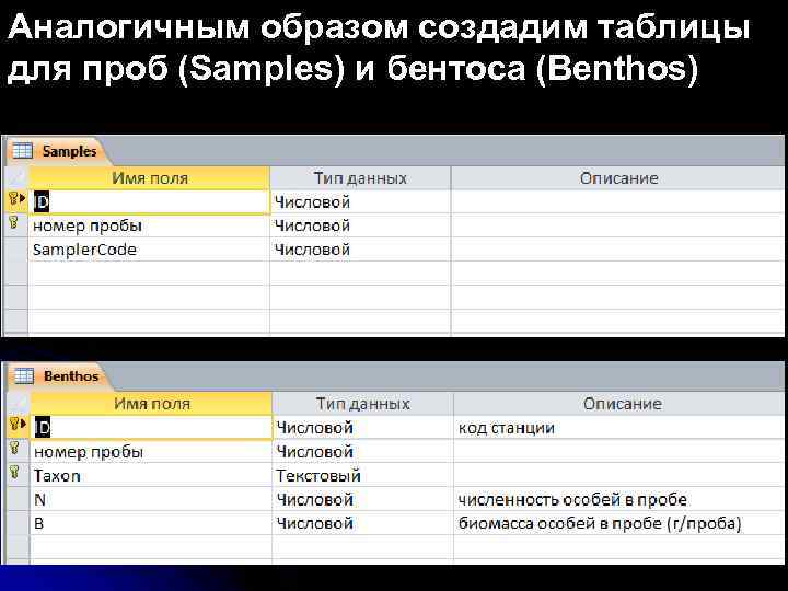 Аналогичным образом создадим таблицы для проб (Samples) и бентоса (Benthos) 