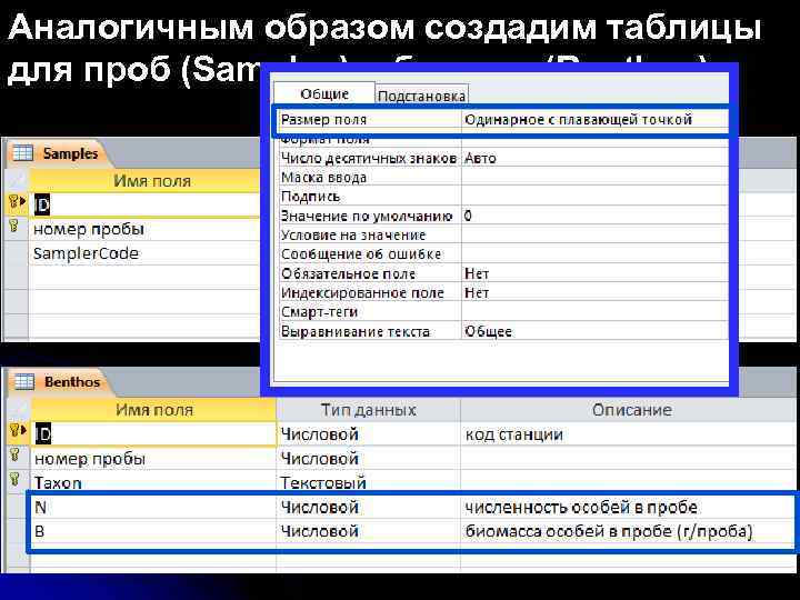 Аналогичным образом создадим таблицы для проб (Samples) и бентоса (Benthos) 