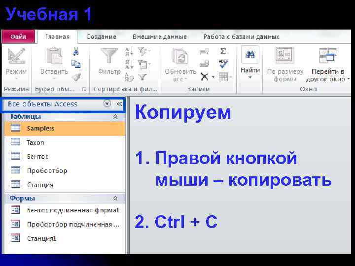Учебная 1 Копируем 1. Правой кнопкой мыши – копировать 2. Ctrl + C 