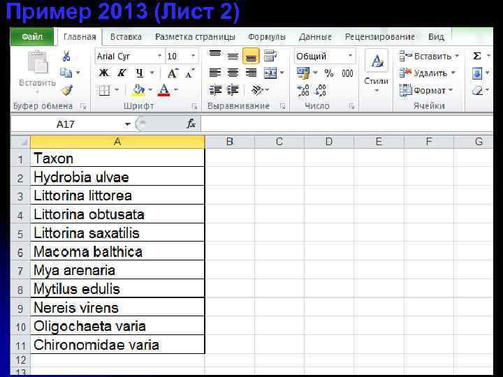 Пример 2013 (Лист 2) 