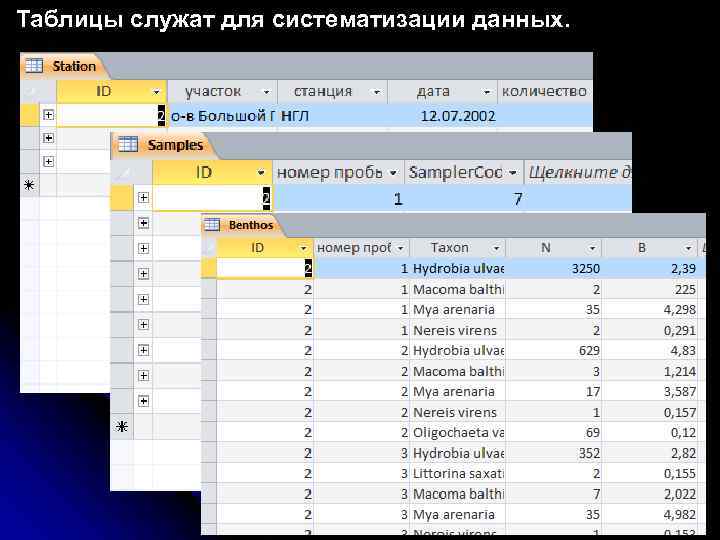 Таблицы служат для систематизации данных. 