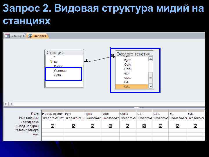 Запрос 2. Видовая структура мидий на станциях 