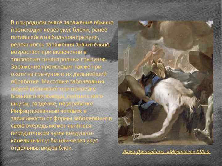 В природном очаге заражение обычно происходит через укус блохи, ранее питавшейся на больном грызуне,