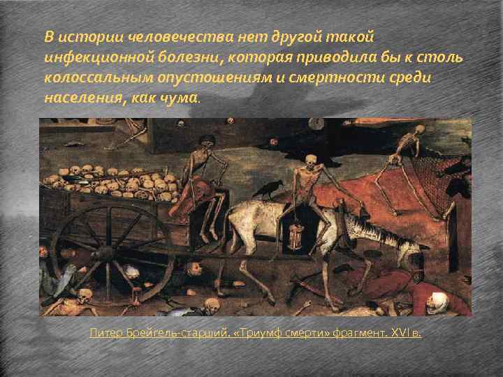 В истории человечества нет другой такой инфекционной болезни, которая приводила бы к столь колоссальным