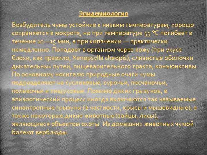 Эпидемиология Возбудитель чумы устойчив к низким температурам, хорошо сохраняется в мокроте, но при температуре